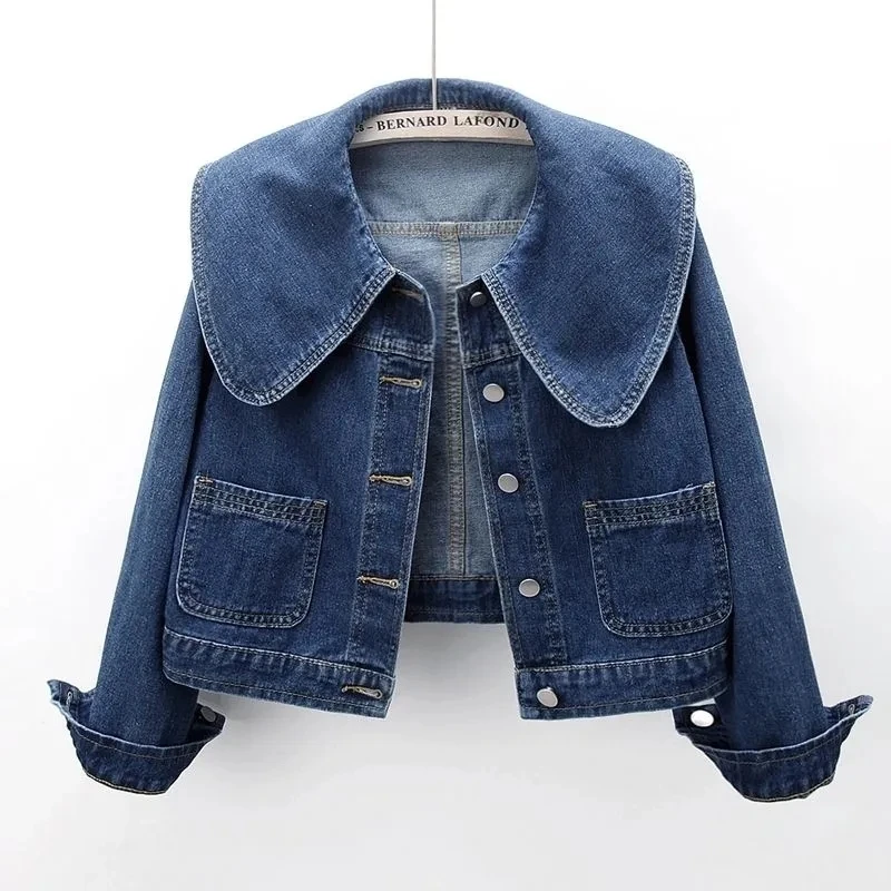 2024 Nowa jesienna kurtka jean – Down Jacket Packable recenzja i cena